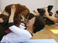 Asanas for Animals