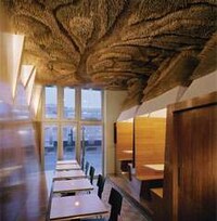Architectural Eco Acoustics Image 3