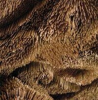 Architectural Eco Acoustics Image 4
