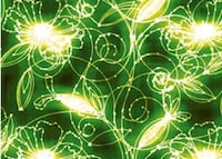 Fiber Optic Wallpaper Image 3