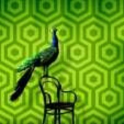 31 Modern Wallpapers