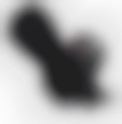 261 MP Transformer Cameras