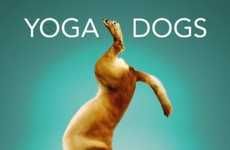 Canine Yogi Calendars