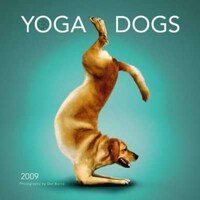 Canine Yogi Calendars