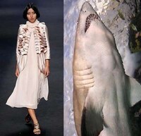 Sea Slug Fashion Image 5