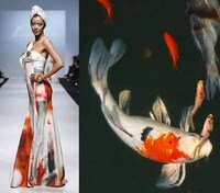 Sea Slug Fashion Image 6
