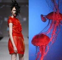 Sea Slug Fashion Image 7