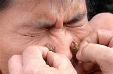 Bee Venom Therapy