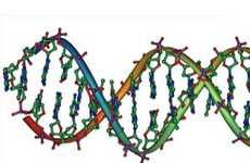DNA as Fiber Optic Cables