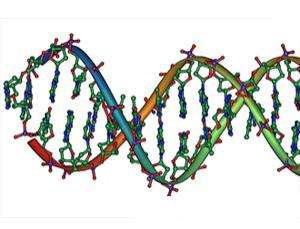 DNA as Fiber Optic Cables