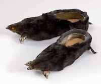 Freaky Shoes For Daring Soles Image 3