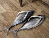 Freaky Shoes For Daring Soles Image 7