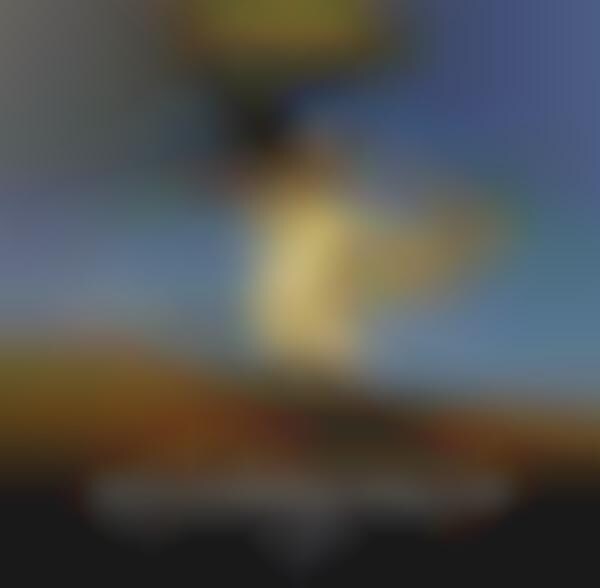 Bearded Ladyboarding