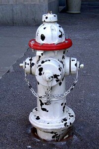 Fire Hydrant Canvases Image 6