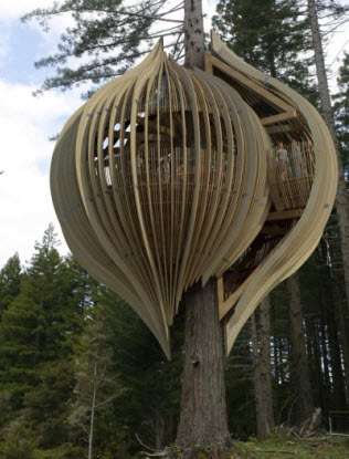 Treetop Restaurants