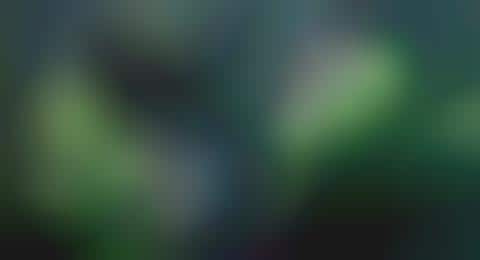 33 Irish-Inspired Finds