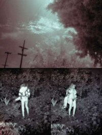 Steven Meisel Dogging Editorial Image 3