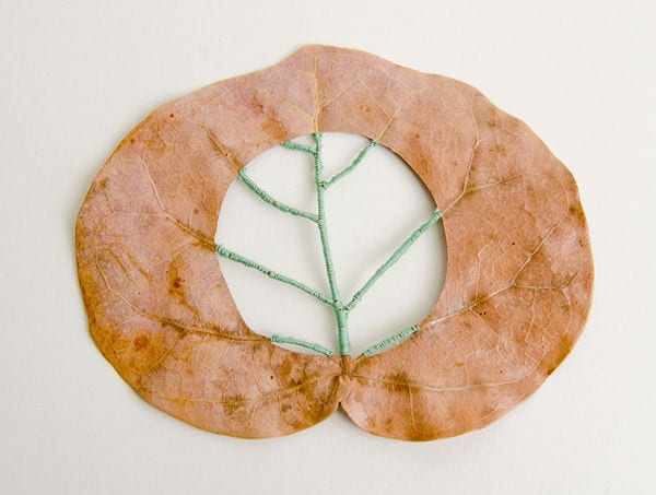 14 Artful Leaf Designs