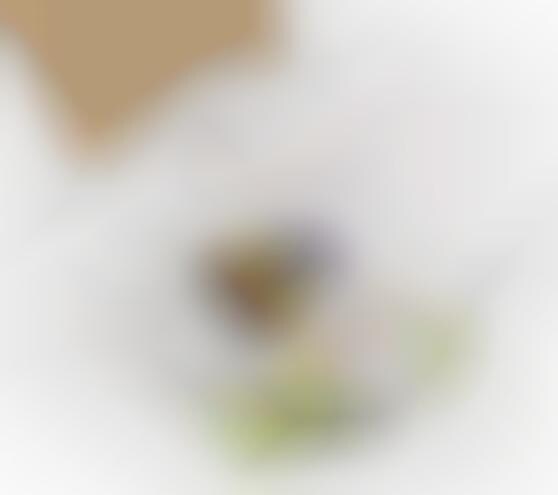 Child Author Kits