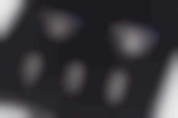 Luxury Anniversary Cameras