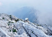 Remote Alpine Shelters Image 2
