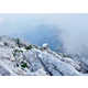 Remote Alpine Shelters Image 2