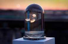 Elegant Jellyfish Tanks