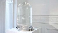 Elegant Jellyfish Tanks Image 4