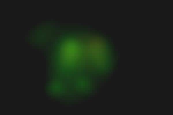 Glow-in-the-Dark Chickens