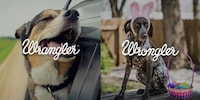 Contrasting Lifestyle Campaigns Image 6