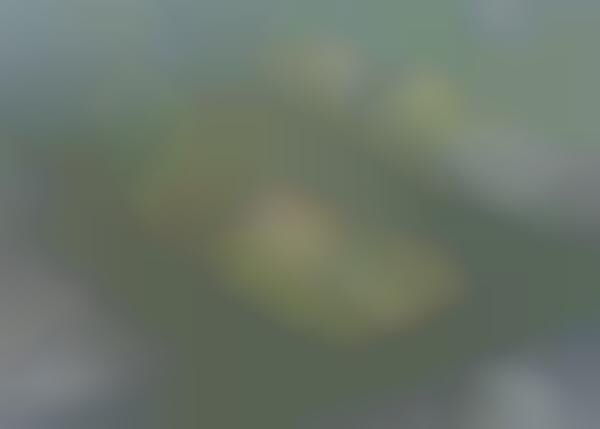 Large Scale Green Communities