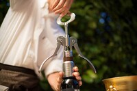 Oversized Wine Openers Image 2