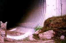Animal-Saving Overpasses