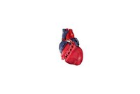 Reconstructed Sneaker Art Image 8