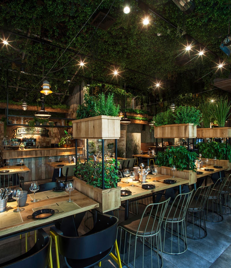 Herb-Covered Eateries