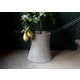 Power Plant Planters Image 2
