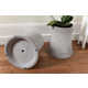 Power Plant Planters Image 5