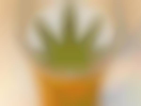 Hemp-Based Beers