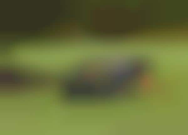 Automatic Lawn Care Robots