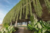 Foliage Enclosed Walkways Image 3