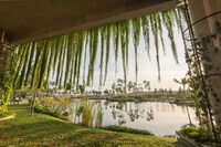 Foliage Enclosed Walkways Image 4