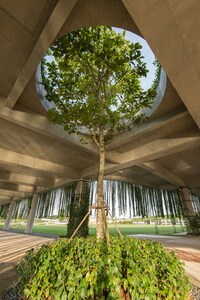 Foliage Enclosed Walkways Image 5