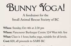 Rabbit Yoga Classes