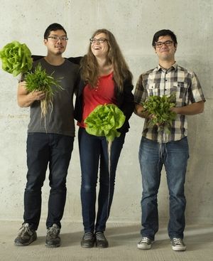 Sustainable Urban Eateries