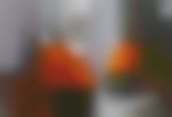 Foggy Bubble Blowers