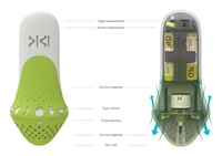 Ripe Fruit Detectors Image 3