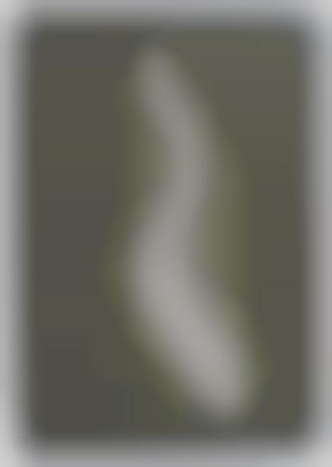 3d tuna dissection puzzle