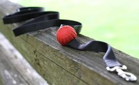 Grippable Leash Attachments Image 6