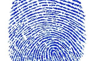 19 Biometric Payment Innovations