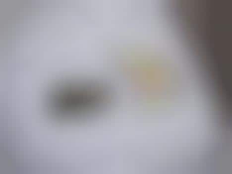 Embroidered Logo Parodies